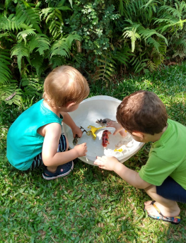 Escola Acalento - Desenvolvimento do se filho