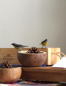 Escola Acalento - Nossa Estrutura